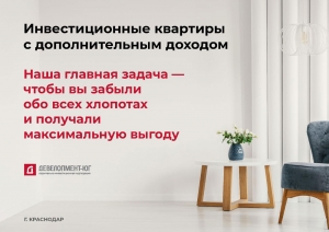 НГСР и строительная корпорация «Девелопмент-Юг» (г. Краснодар) провели вебинар для специалистов риэлторского бизнеса